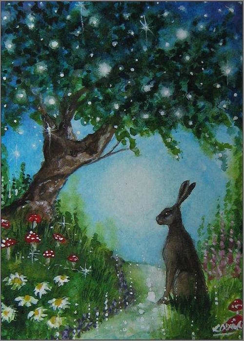 19396847_1295963137187303_584370187123736471_n